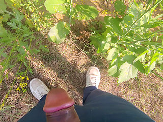 Like a khet mein sex karte hue handjob