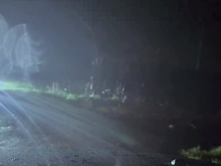 Bottomless when cars pass then naked hiding behind a tree