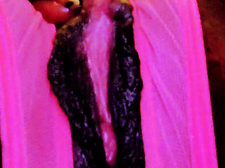 Pretty pussy just for you