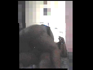 Chubby Bhabhi with her Devar