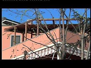 The Illegitimate StepDaughter