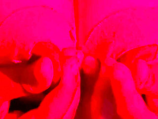 Want to suck my nipples ? Come and cum with me