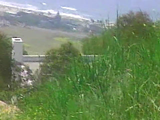 Outdoor Pussy Fingering Stretched Wide Till Shaking Orgasm