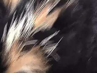 Ejaculation Training: Sniffing and Cumming on a Fur Scarf, Lady Victoria Valente