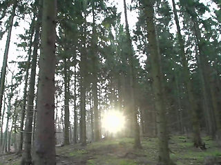 German Sex Stars Wild DP Orgy Scenes