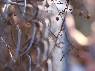 0011415_美魔女 ディープキス セックスなどが含まれている