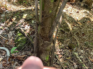 I Hide Behind a Tree and Watched the Bath