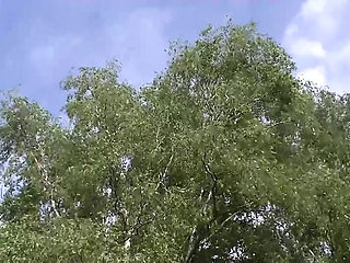 German MILF seduces guy with huge cock for outdoor barn fuck and blowjob