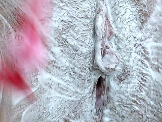 Extreme Close-up of Hairy Pussy Shaving!