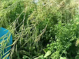 Fucked My Stepsister-in-law in Doggy Style in a Mustard Field on the Ganga Bank