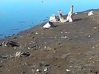 Amateur Latina Flashing Pussy and Ass River Bank