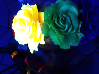 Black Light Cock Sucking