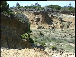 Hot Summer Nights (Full Movie)