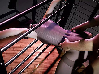 Horny Canadian Girl Gets Hard BDSM Training in 3D Hentai