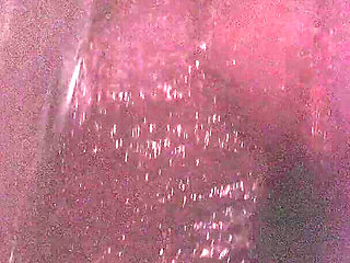 B034 Shrinking Man Sandwiched Between Two Giantess Butts Big Ass Fart Domination