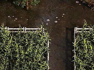 The Genesis Order V39084 Part 98 Horny Cowgirl by Loveskysan69