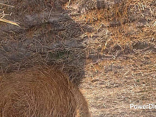 Fuck in the wild, we almost got caught! He covered me in