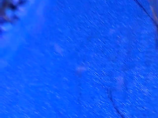 Sex Arab Wife Big Ass