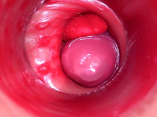 Inside a Camgirl Cervix POV Camera in Vagina with Big Dick Toy