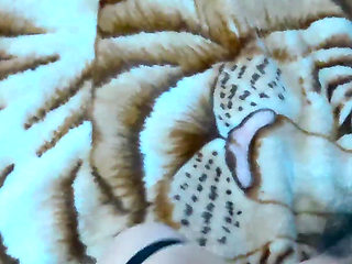 Pussy Fuck with Deep Oral