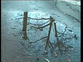 Lisa Fucks Everywhere and Takes Everything in Her Mouth, Asshole, and Pussy.