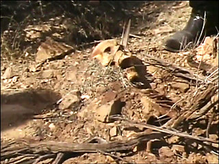 Sunrise and Olivia of Gozonas (film)