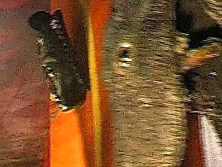 John Thompson: Sperm Swally