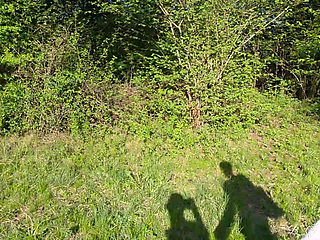 Lost in the Forest. and Suddenly It Gets Dangerously Hot