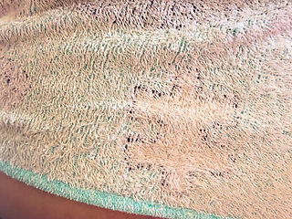 I Love Exhibitionism, It Excites Me a Lot to Jump on a Cock While There Are People Around