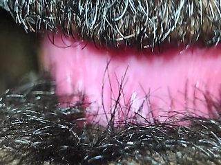 My hairy pussy liking my neiber men