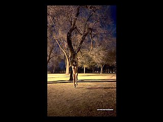 Nude Cartwheels in a Park. It Was Cold, but the Thrill Warmed Me up:)