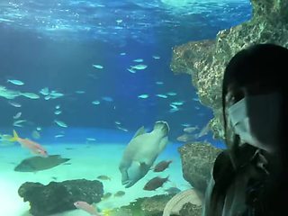 0011563_素人 かわいい 四つん這いなどが含まれている