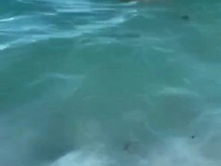 Love Chat Big Boobs Brunette Masturbating For Cam