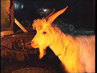 Naked Woman On Fire Vol.4 (Full Movie)