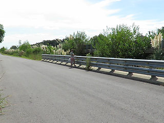Patricia on the Bridge Over the Road