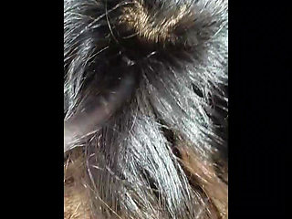 Fucking My Girl friend Doggy style