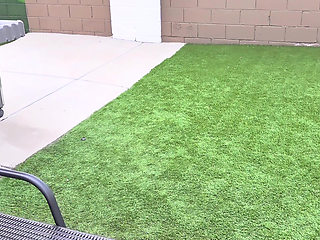 Polyjswitch Hotwife Serves BBC on Her Knees