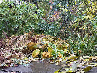 Hot mature woman in leggings pees standing doggystyle