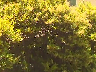 Versaute Fantasie l&auml;uft komplett aus dem Ruder wenn