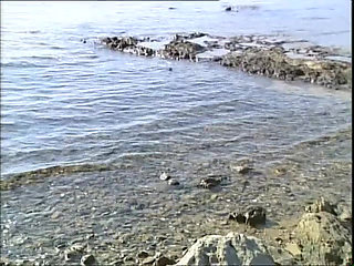 Stepdaughters of a lesser God (Full porn movie)