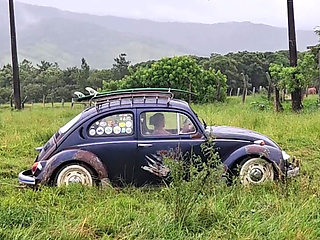 Playing in the Mud with the Beetle