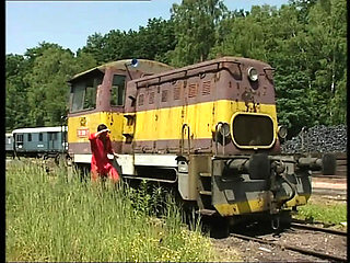 Double Blowjob Facial Cumshot with Big Ass Chubby Girl