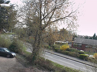 German cougar slut stuffs herself with a big dildo