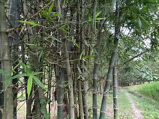 Bangla Choti golpo student and teacher best performance student