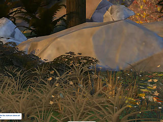 FUCKING IN THE FOREST WITH A BEAUTIFUL GIRL