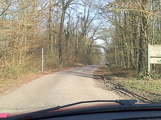 Hot in the Car (Again)