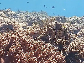 Backstage - Lisi Parisi