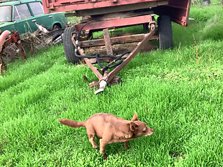 Walking naked in the nature