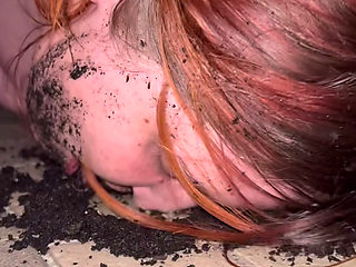 Mud, Licking Shoe, Toilet Washing