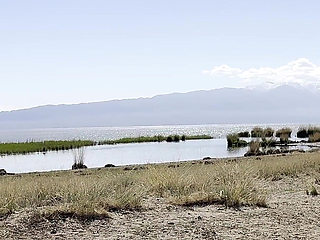 Public Pissing Compilation in Nature! Car Trip! POV!